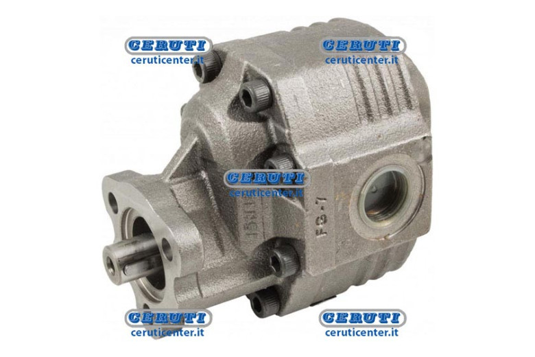 Slefbalanced Doubleway Hydraulic Pump
