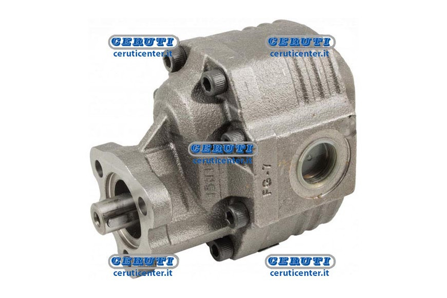 Slefbalanced Doubleway Hydraulic Pump