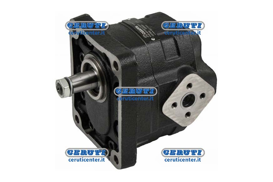 Cast Iron Casappa Pumps - Kp30 Gr. 3 Group 3 Rotation Left Swept Volume 34 Cm3