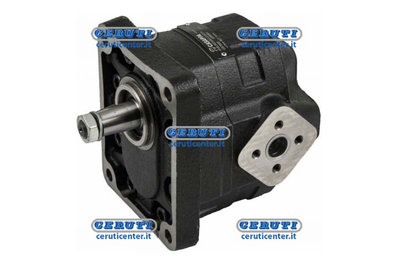 Cast Iron Casappa Pumps - Kp30 Gr. 3 Group 3 Rotation Left Swept Volume 61 Cm3