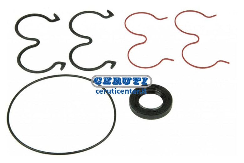 Kit Seals Pumpe Gr.2