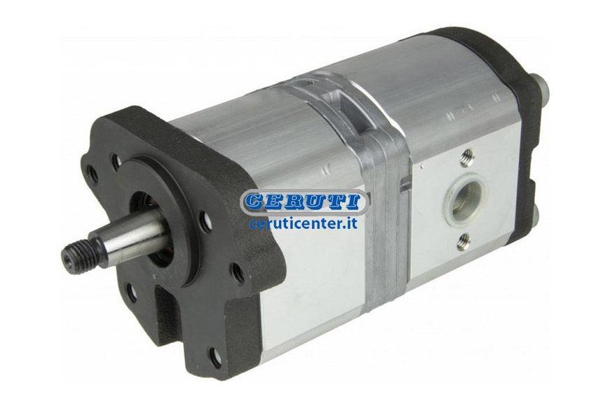 Hydraulic Pump Double