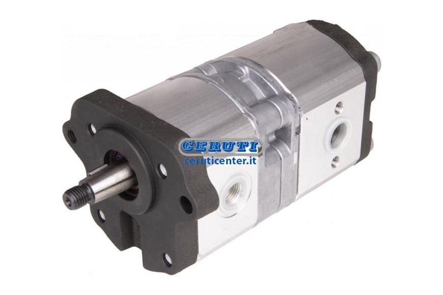 Hydraulic Pump Double