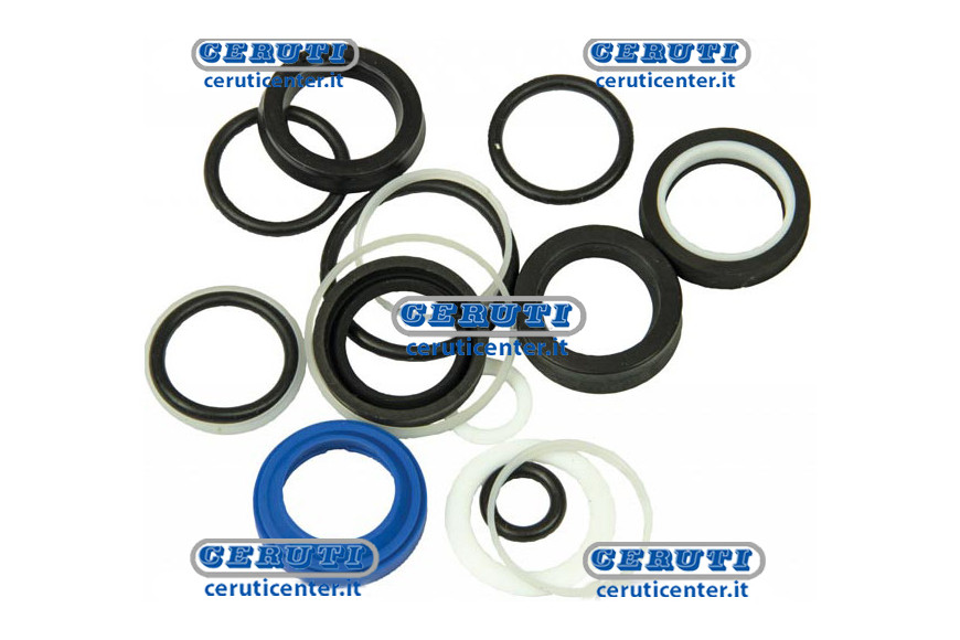 Kit Guarnizioni Per Sezione Distributore Bosch - Adattabile a Codice OEM 9959034