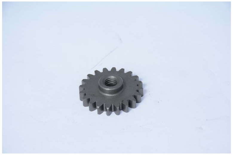 Pump Gear - BCS genuine - 52456235
