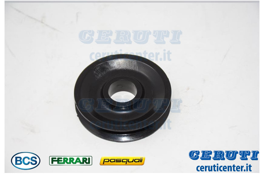 Pulley - BCS genuine - 55220363