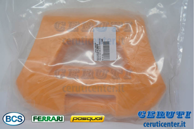 Fregio Ant.Mc 2010 Pasquali - Originale BCS - 55253126Y