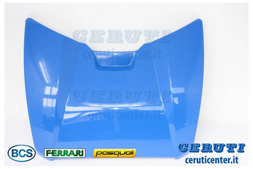 Guard - BCS genuine - 55257621