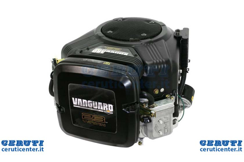 Motor Vang.23Hp 25X80 806858