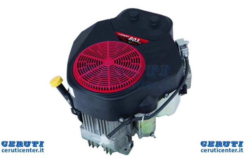 Der Motor V.803 2P82F Es Bic.Euv