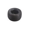 Oil Drain Plug