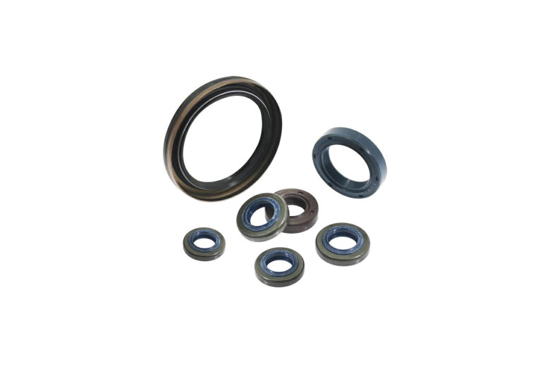 Seal Coupe 2P82F