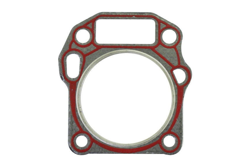 Joint de culasse cylindre 5.5 HP 1P65F