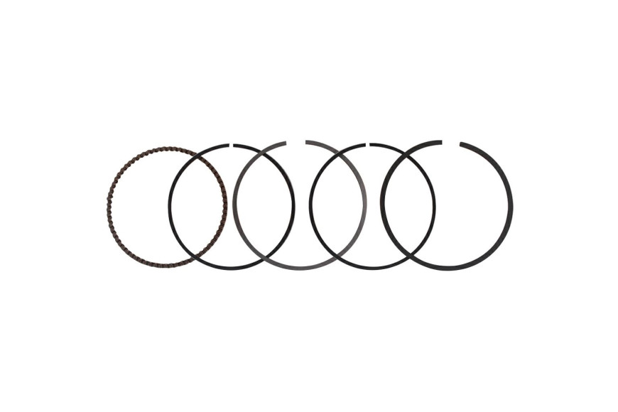 Anillos de Serie 1P65Fe