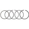 Serie Anelli 1P65Fe 