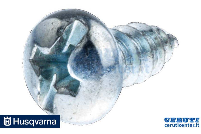 Vite - Originale Husqvarna - 729534001