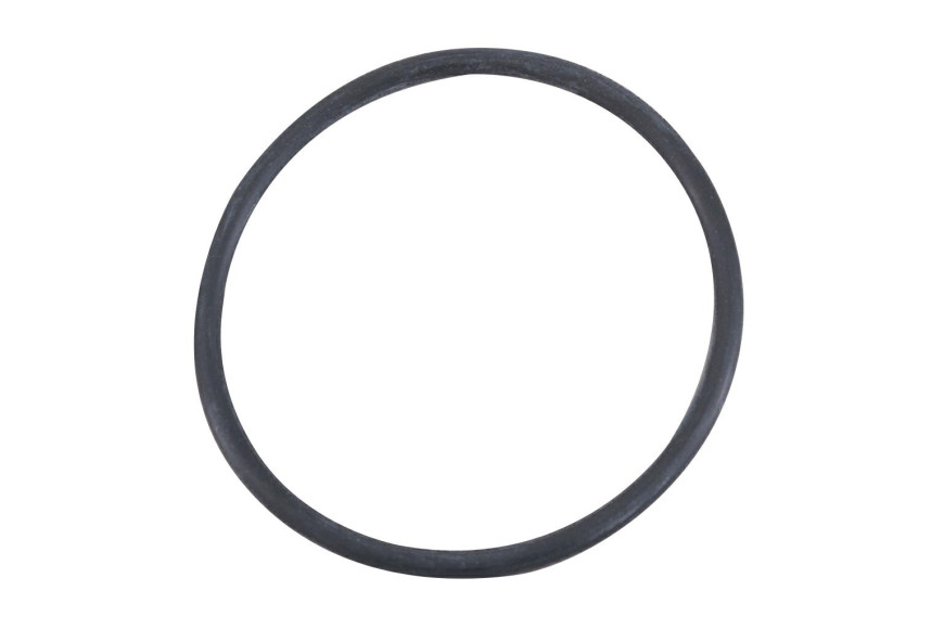 Dichtungsölpumpe 1P91 / 96F Ring