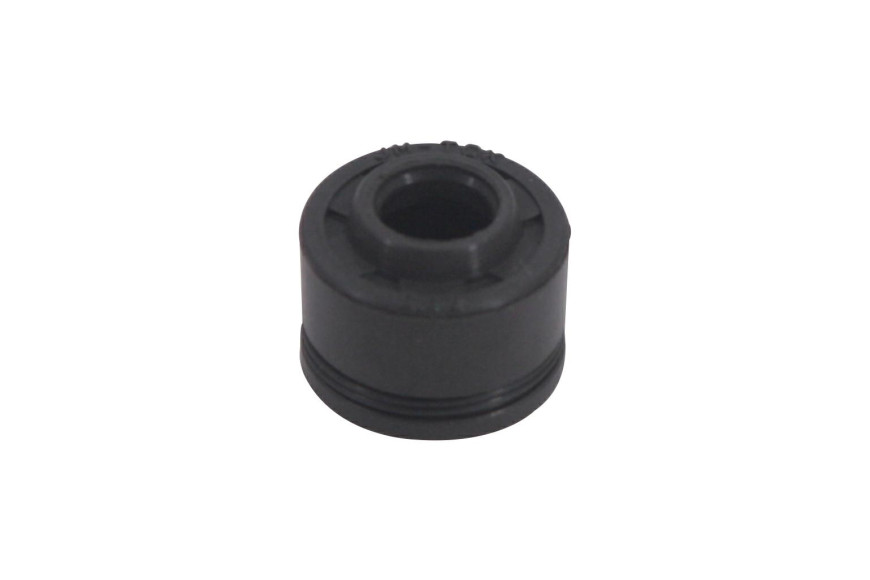 Tenuta valve 1P65 / 75Fe-2 Es