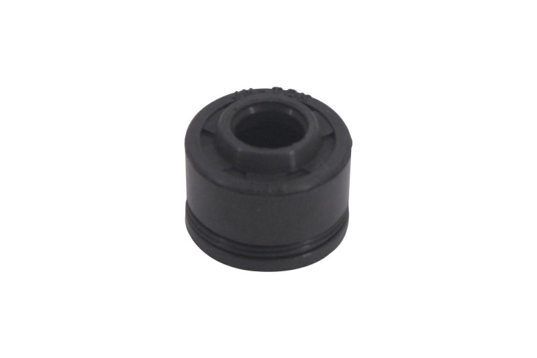 Tenuta valve 1P65 / 75Fe-2 Es