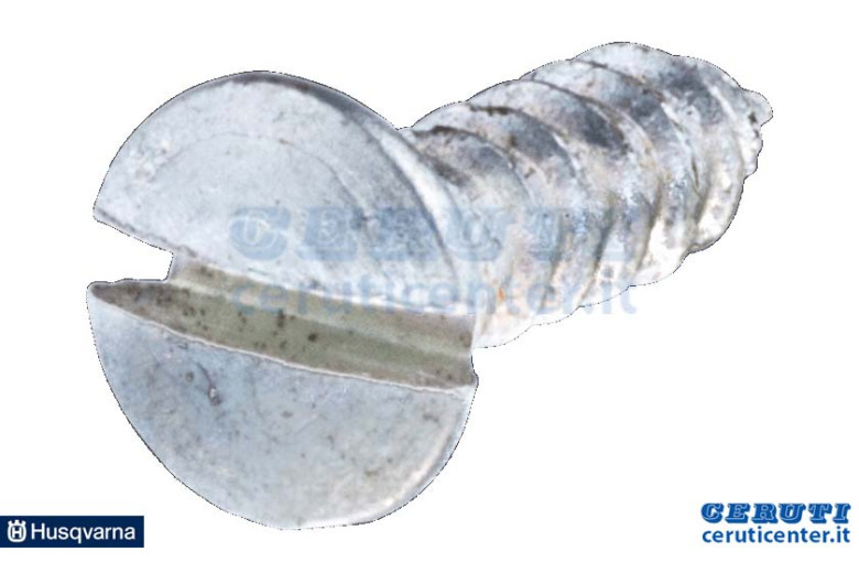 Vite - Originale Husqvarna - 729428101