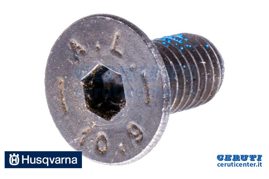 Schraube - Original Husqvarna - 725644956