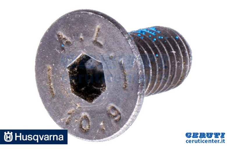 Vite - Originale Husqvarna - 725644956