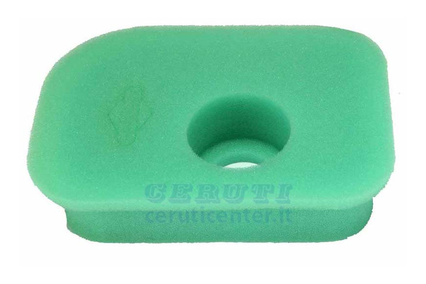 Elemento Filtrante (310035)