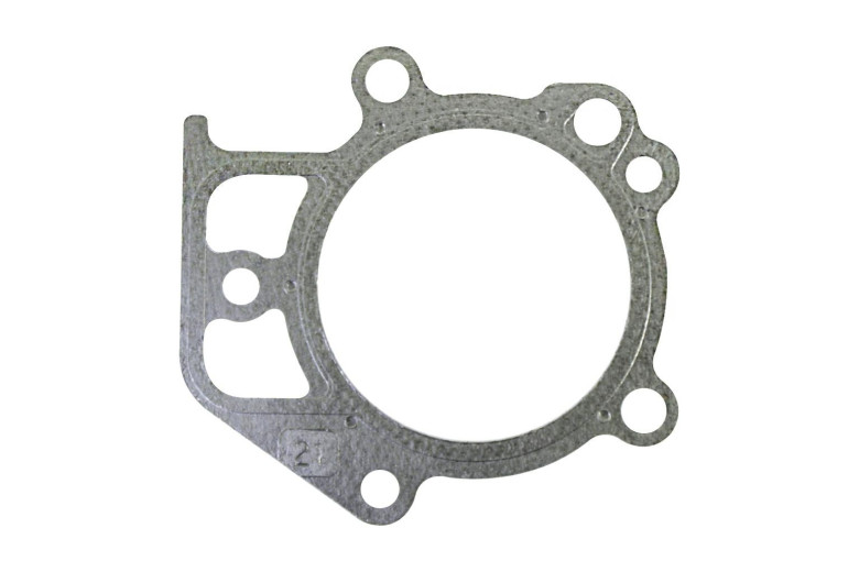 Zylinderkopfdichtung Motoren von Schnee 21M114, 21M314