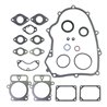 Serie Guarnizioni Motore  - 699823 - Originale Briggs & Stratton