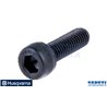 T.E.I. Tornillo M6x20 - Husqvarna original - 725 537 055