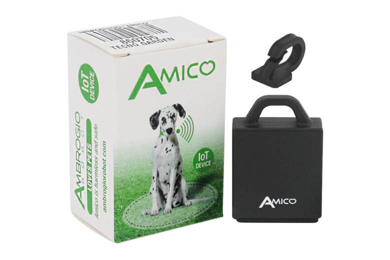 Micro Device vom Ort der Tiere Collaredi Größe Medium / Large