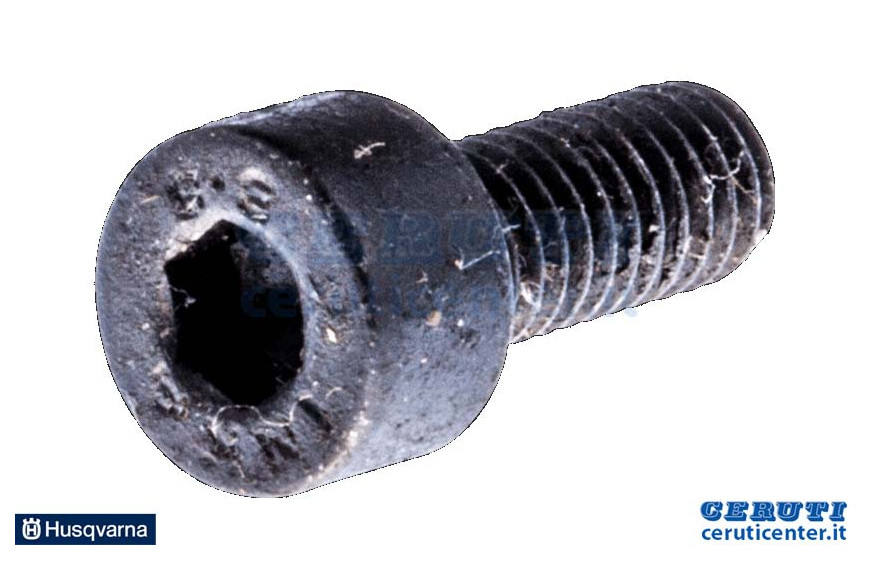 Tornillo MC6S 4X10 - Original Husqvarna - 725 528 955