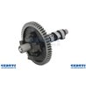 Albero A Cammes  - 845649 - Originale Briggs & Stratton