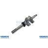 Albero Motore Dov 25X80 