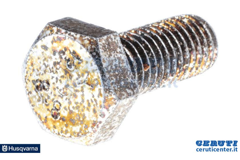 Screw M10x25 - Original Husqvarna - 725 249 371