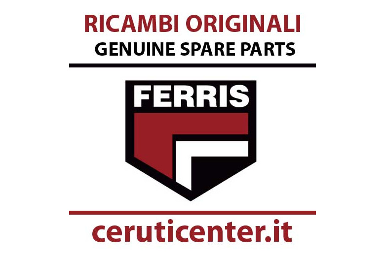 Deck Shell W/ Decals  48  Fw35 - Originale Ferris - 5600736