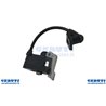 Coil Motor Electronics From Decespugliatore 38 Cc, 4 Stroke