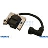 Electronique Coil Motor G.G.P. Modèle SV200