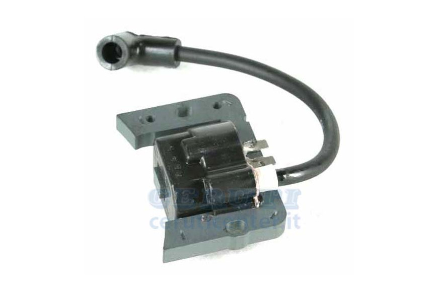Coil Motor Electronics Tecnamotor