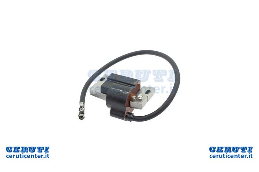 Coil Electronics For New Engines Ohv Series 210000 AND 310000