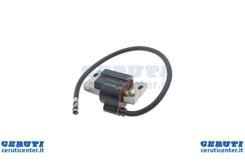 Coil Electronics For New Engines Ohv Series 210000 AND 310000
