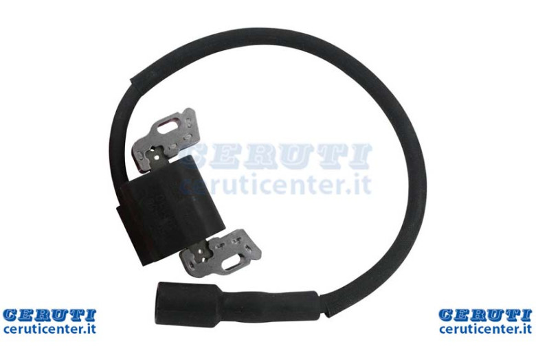 Coil Power Electronics Built Ohv Vertical 21R600, 21R700