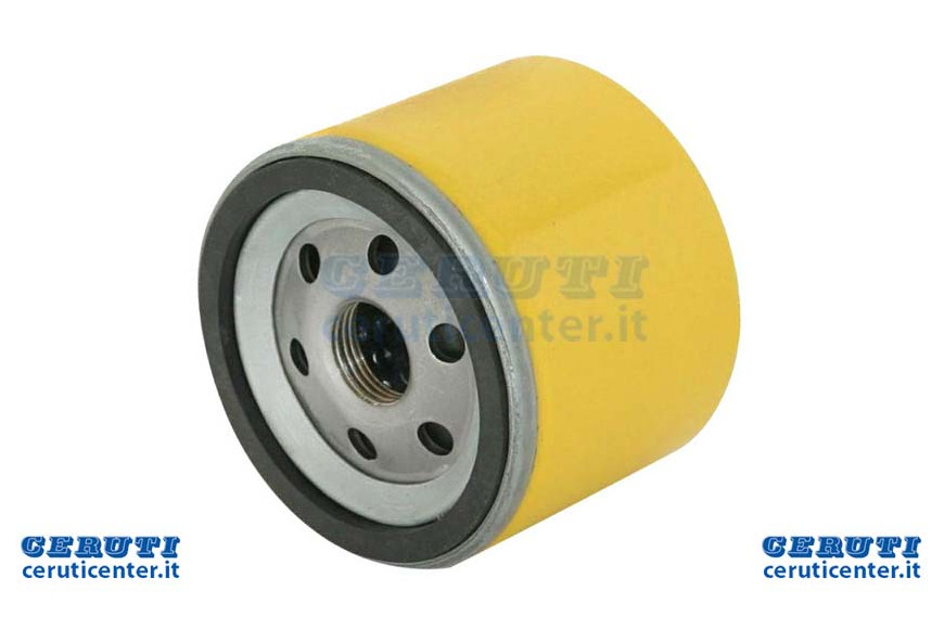 Filtro Olio (696854)