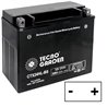 Batteria Agm 12V 21Ah Lunga +Dx