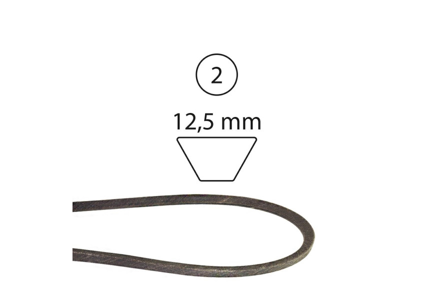 Cinghia 1232 589531201 Dent.