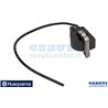 Kit Modulo Accensione + Volano - Originale Husqvarna - 595312601
