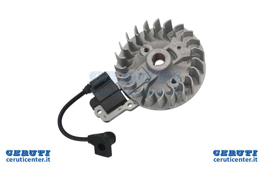Kit Coil Motor Et Flywheel De decespugliatore 38 Cc 4 Stroke
