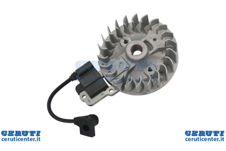 Kit Bobina E Volano Motore Da Decespugliatore 38 Cc 4 Tempi 