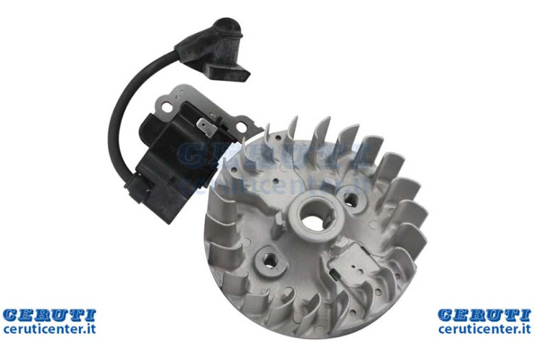 Kit Bobina E Volano Motore Da Decespugliatore 4 Tempi Gx35 