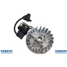 Kit Bobina E Volano Motore Da Decespugliatore 4 Tempi Gx35 